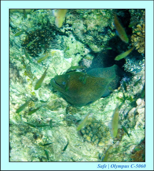 2008 - 07 - Redang - 030